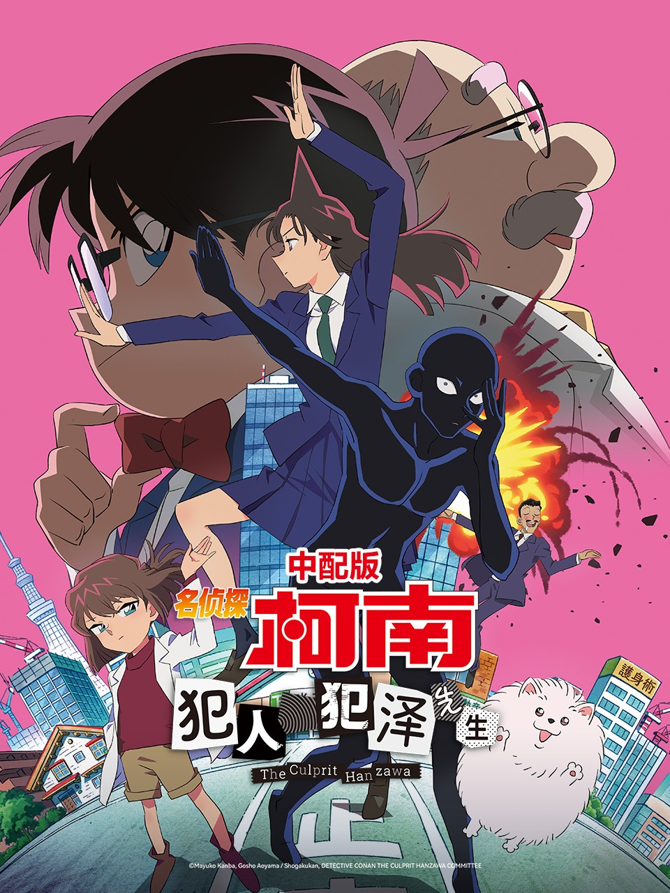 名侦探柯南犯人犯泽先生版