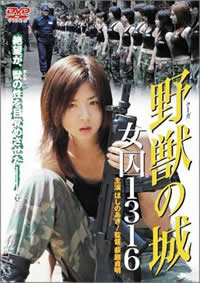 空中女士美国满天星